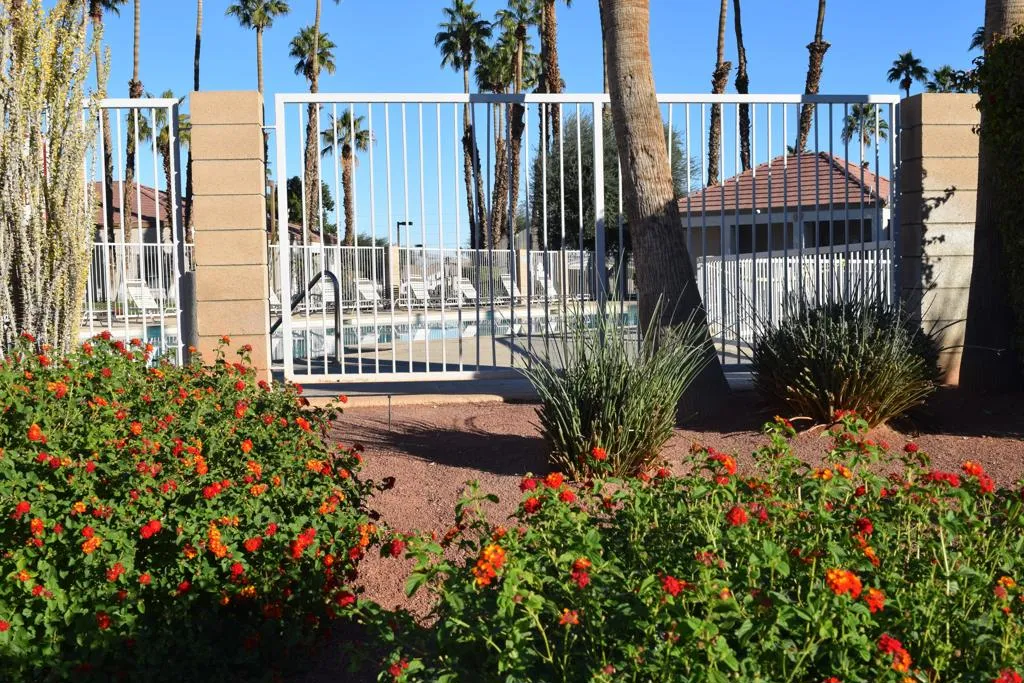 47800 Madison Street 19, Indio, California 92201 home-pic-5